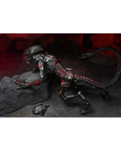 Aliens Action Figur Night Cougar Alien 23cm -Cosplay-Laden aliens actieon figur night cougar alien aliens merchandise aliens fanartikel aliens actionfigur 52565 05