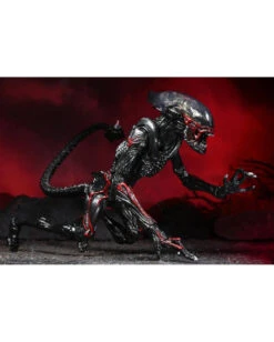 Aliens Action Figur Night Cougar Alien 23cm -Cosplay-Laden aliens actieon figur night cougar alien aliens merchandise aliens fanartikel aliens actionfigur 52565 06