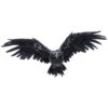 Dark Feather Owl Wandbild 55cm
