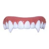 Dental FX Veneers Nightslayer