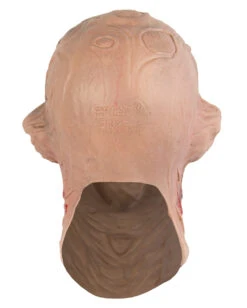 Freddy Maske Blutrausch 5 Freddy Maske Blutrausch -Cosplay-Laden freddy krueger maske blutrausch nightmare on elm street merchandise horrorfilm freddy schaumlatexmaske 14272 3