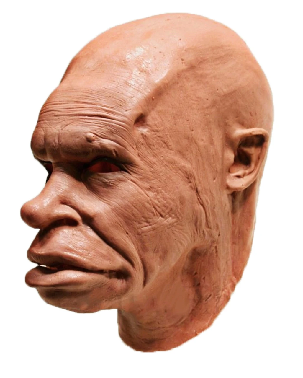 Neandertaler Schaumlatex Maske 1 Neandertaler Schaumlatex Maske