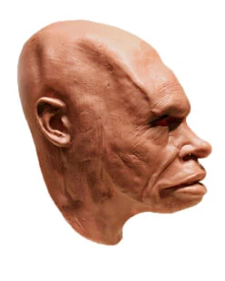 Neandertaler Schaumlatex Maske 5 Neandertaler Schaumlatex Maske -Cosplay-Laden neandertaler schaumlatex maske steinzeitmensch latex maske neanderthal foamlatex mask 50345 03