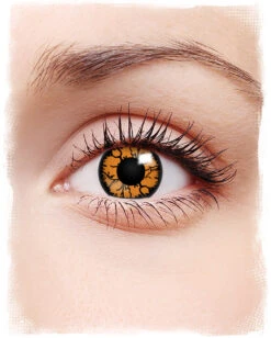 Kontaktlinsen Oranges Reptil