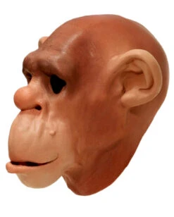 Schimpansen Schaumlatex Maske -Cosplay-Laden schimpansen schaumlatex maske affenmaske tiermasken bild4 15361