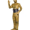 Star Wars Classic C-3PO Erwachsenen Kostüm Onesize