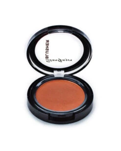 Stargazer Rouge Celosia Orange